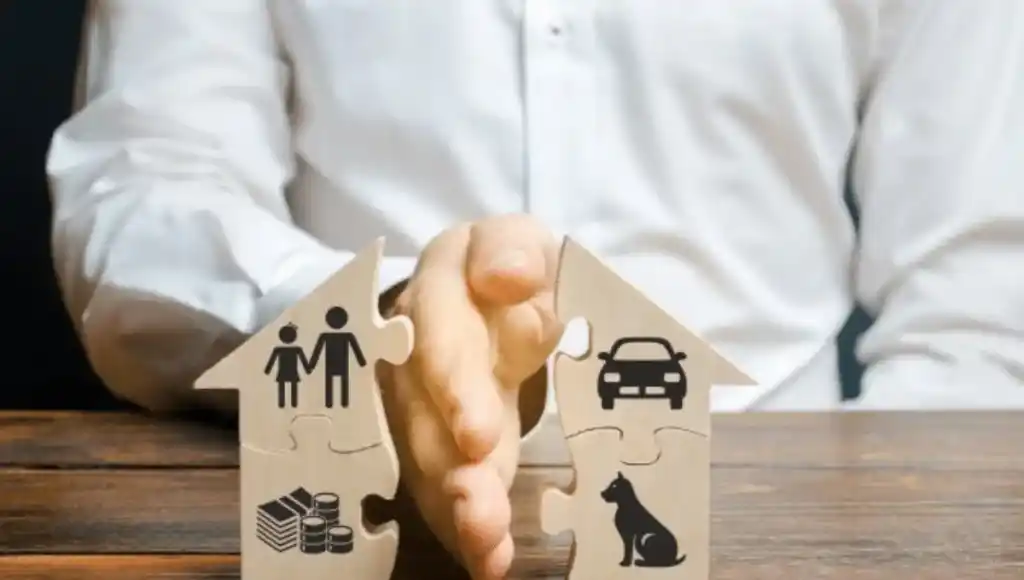 Division y particion de bienes